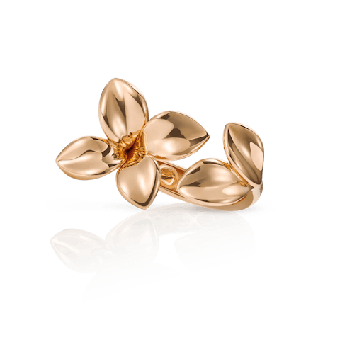 Vertical 18K Rose Gold Giardini Segreti Diamond Accent Ring