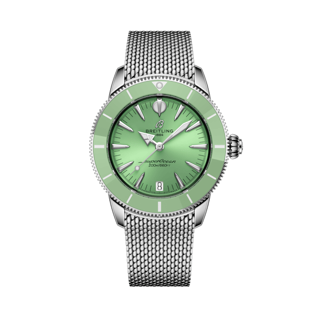 スターリンジア acy-36.jpg