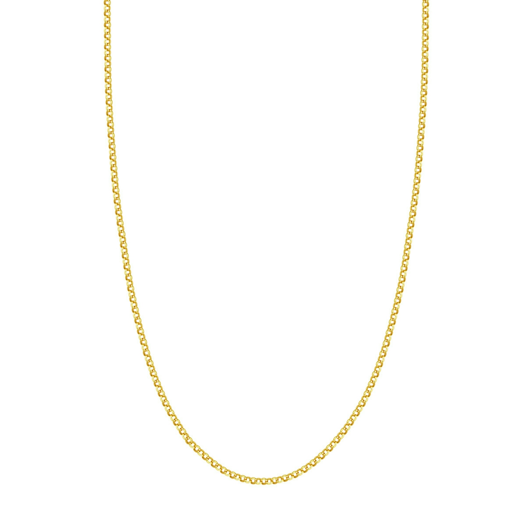 Vertical 14k Yellow Gold 2.5mm Rolo Chain