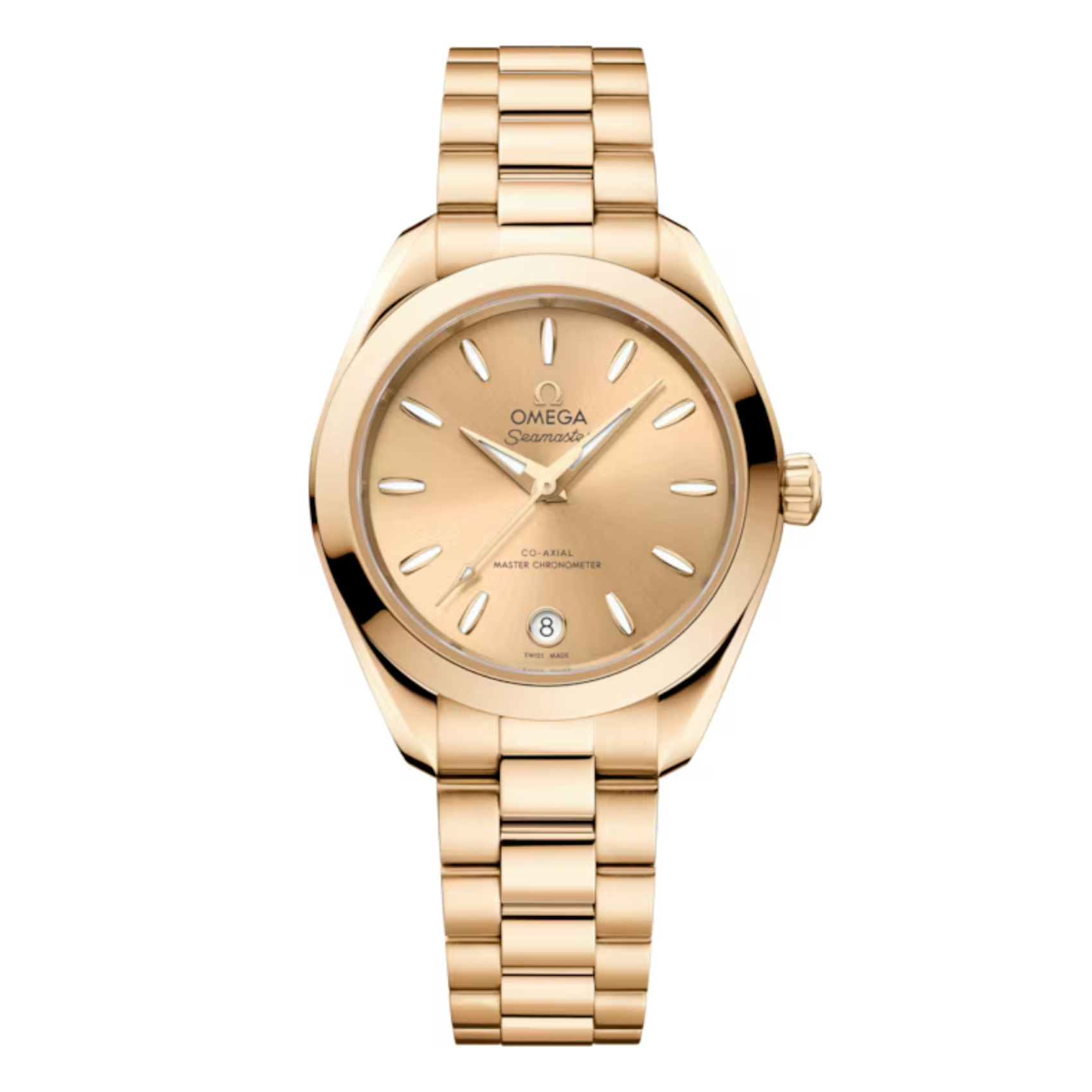 Vertical Seamaster Aqua Terra