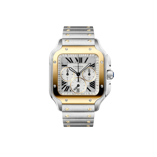 Cartier W2SA0035