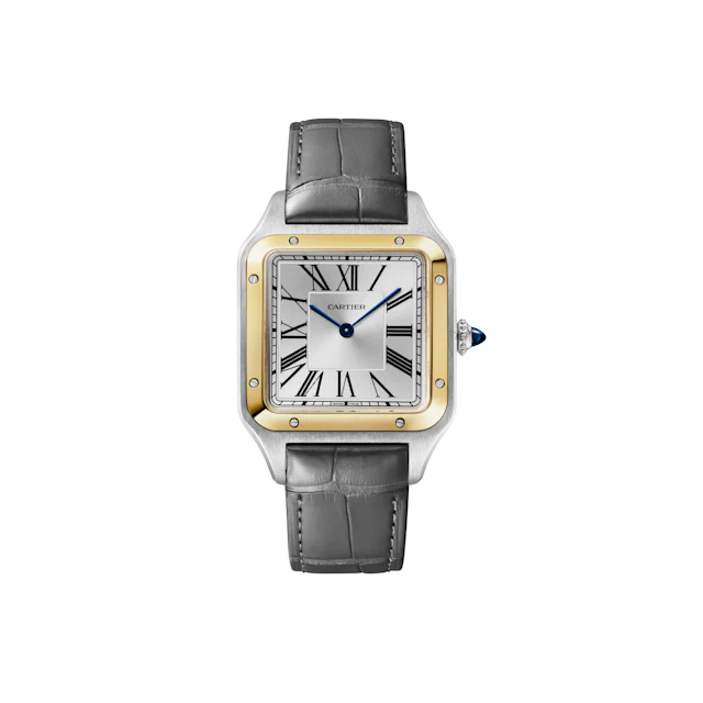 Cartier W2SA0046