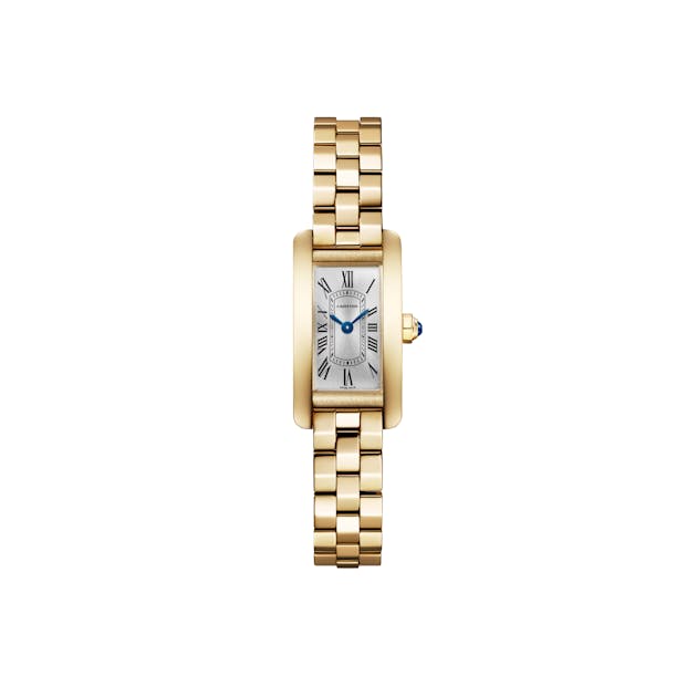 Cartier Tank Américaine Mini Model WGTA0405 | 1916 Company