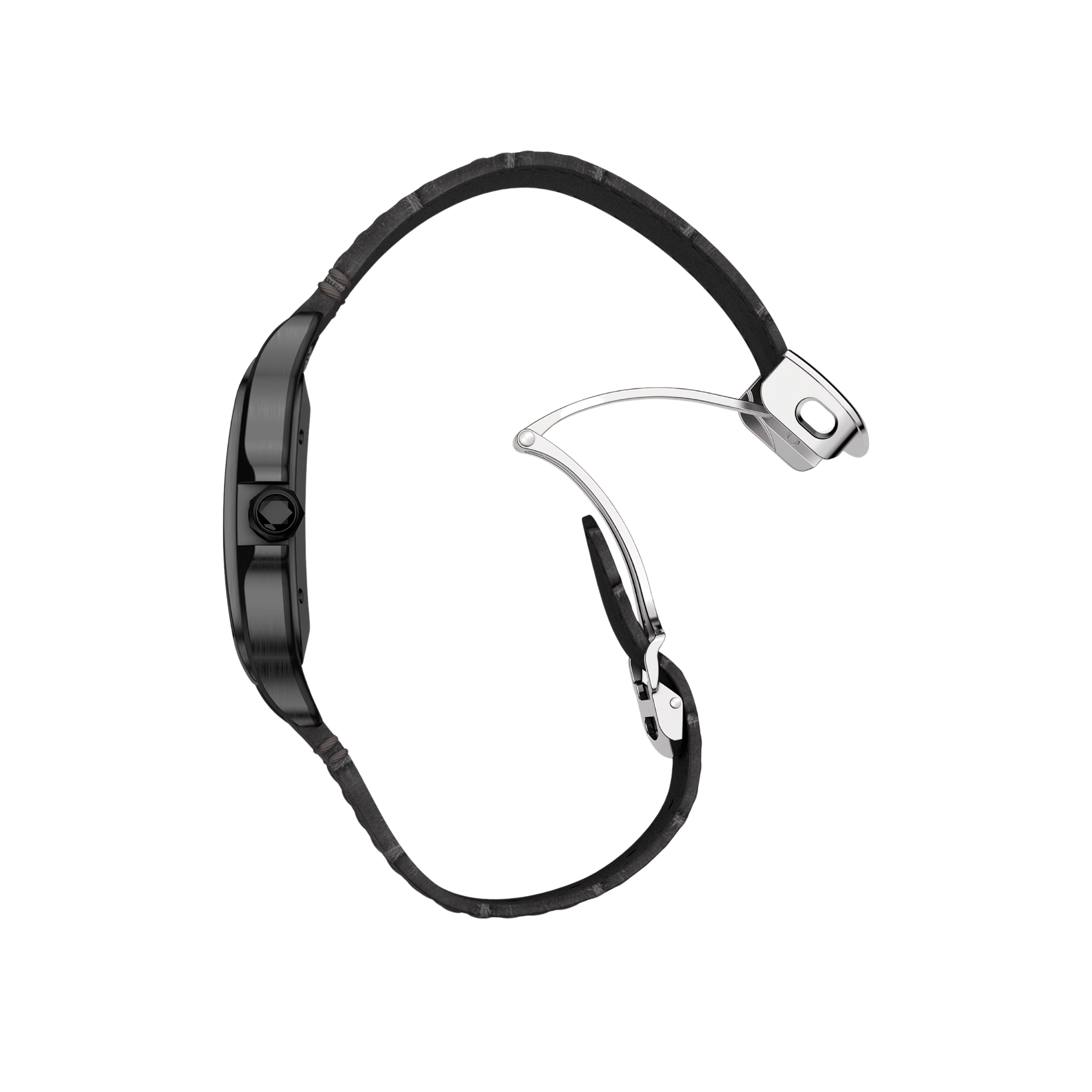 Santos Large Model 5