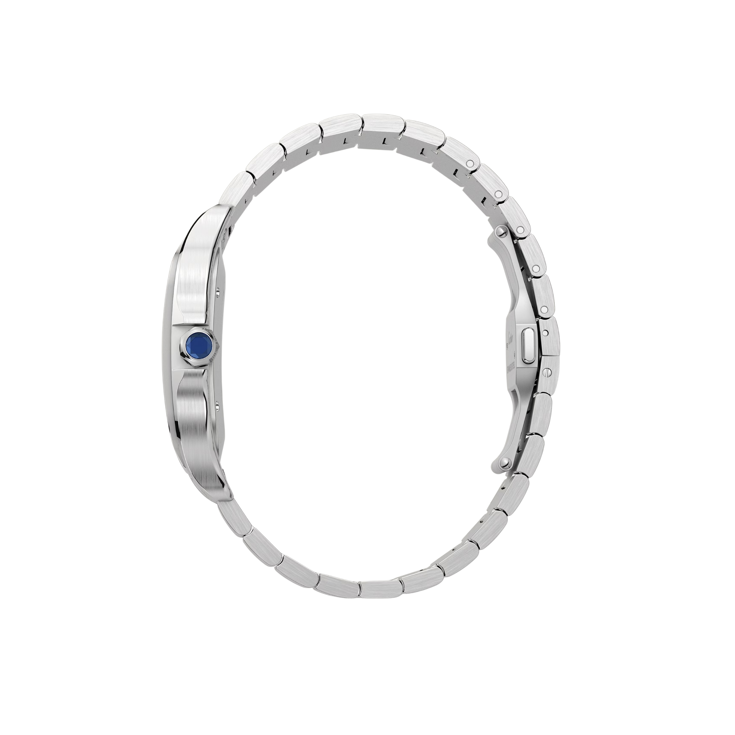 Santos Large Model 4