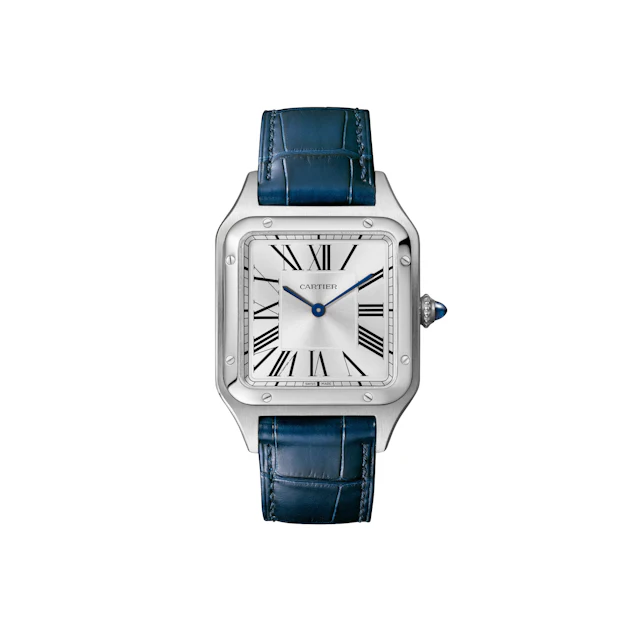 Cartier WSSA0085