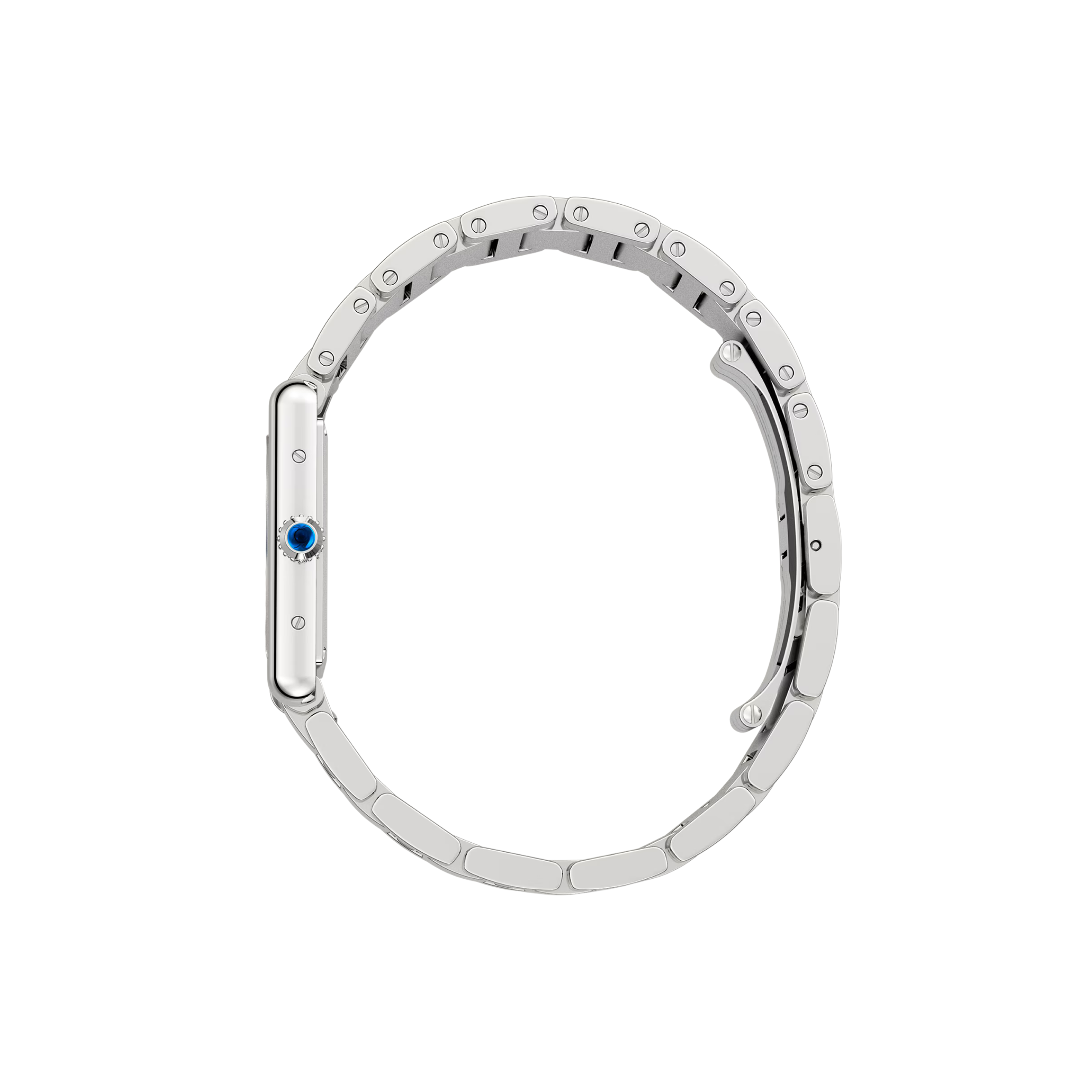 Tank Must Large Model 2