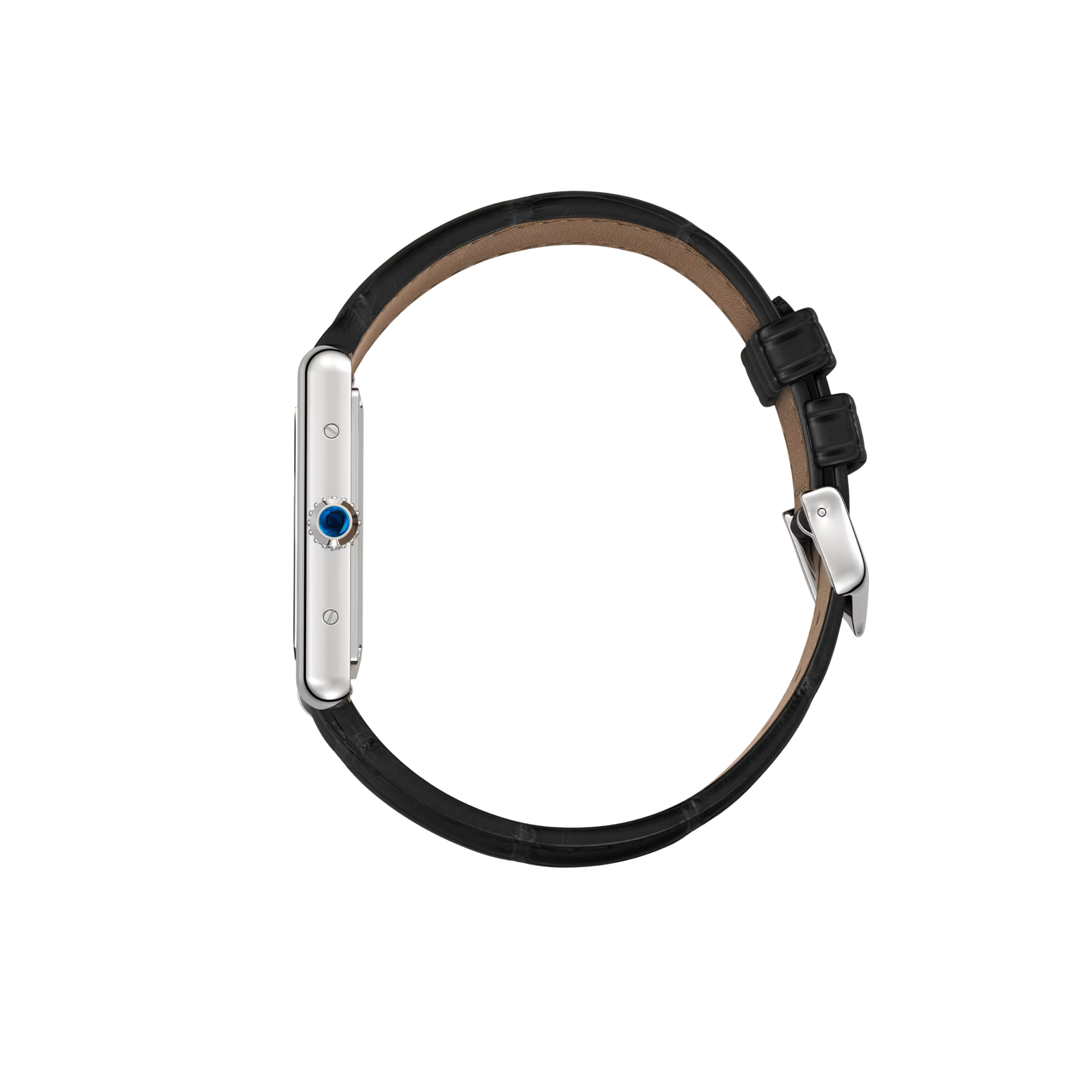 Tank Must Large Model 2