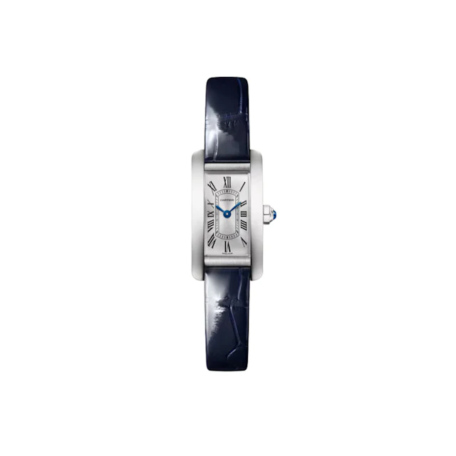 Cartier WSTA0116