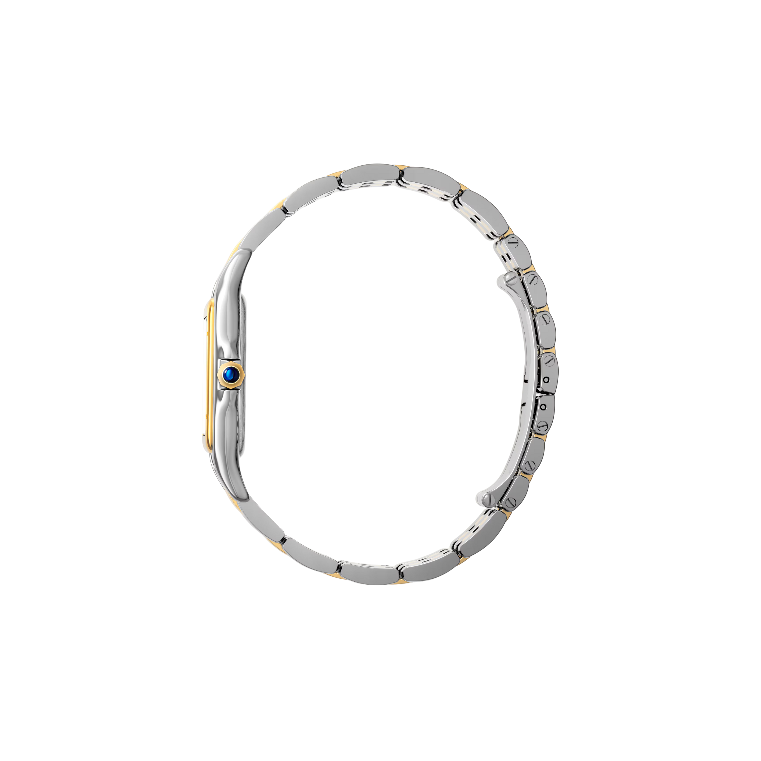 Panthère Large Model 3