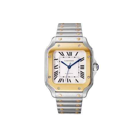 Vertical Santos Medium Model