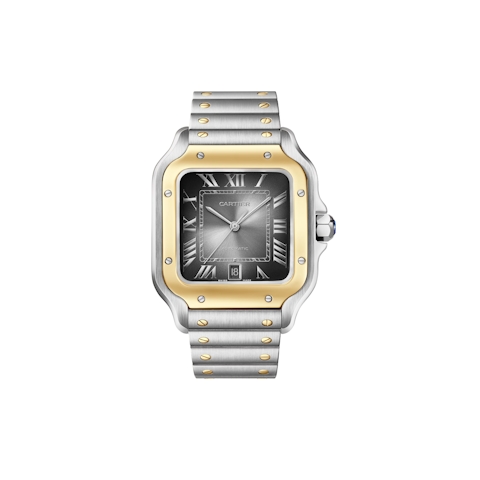 Vertical Santos Large Model