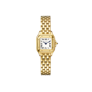 Vertical Panthère de Cartier Mini Model