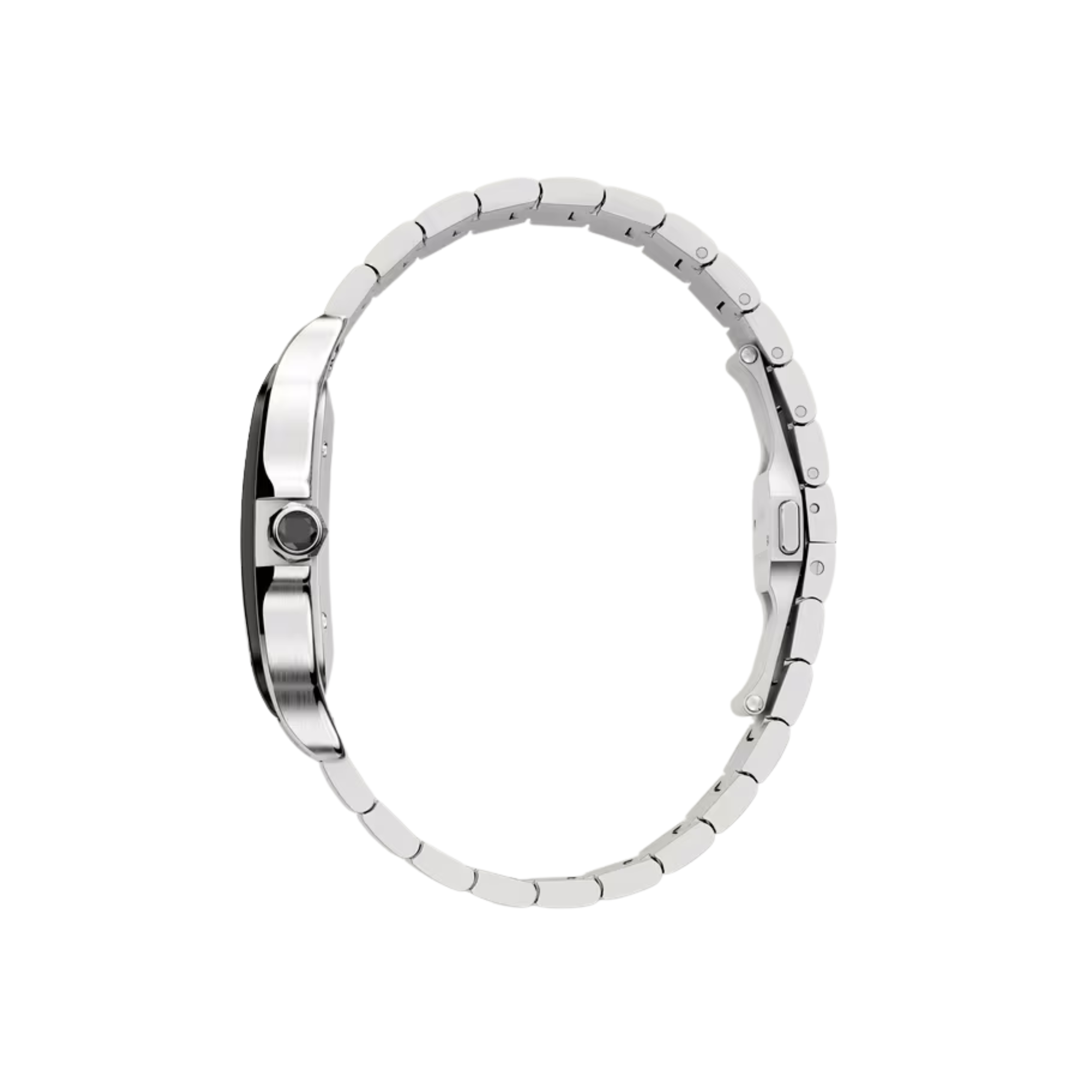 Santos Large Model 5