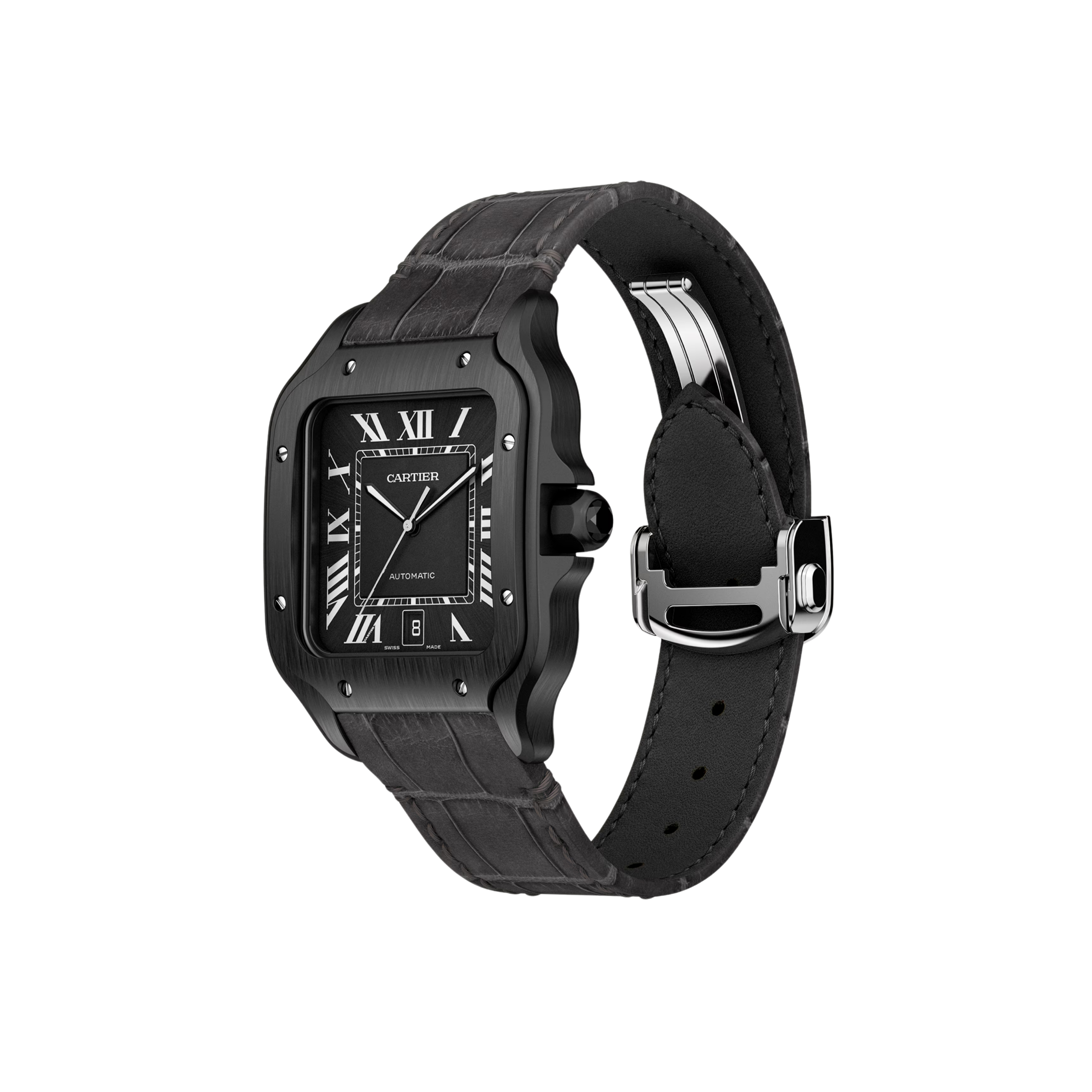 Santos Large Model 2