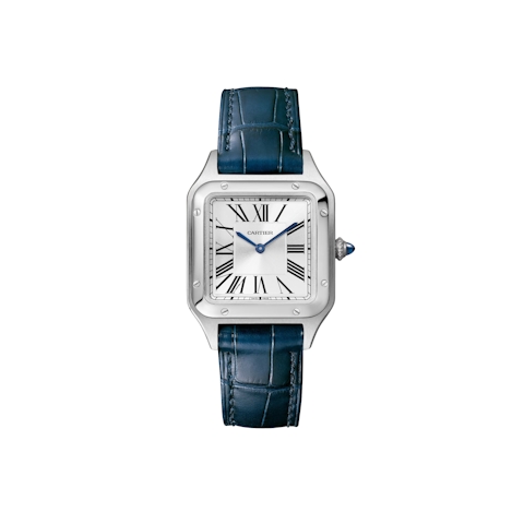 Vertical Santos-Dumont Small Model