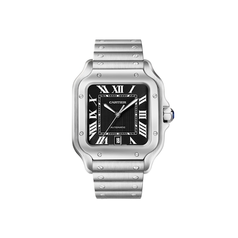 Vertical Santos Large Model