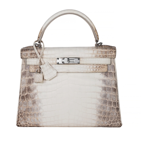 Image #1 Kelly 28 Himalayan Crocodile