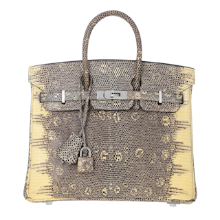 Image #1 Lizard Birkin 25 Ombre