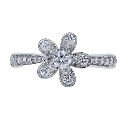 Image #1 Socrate Ring